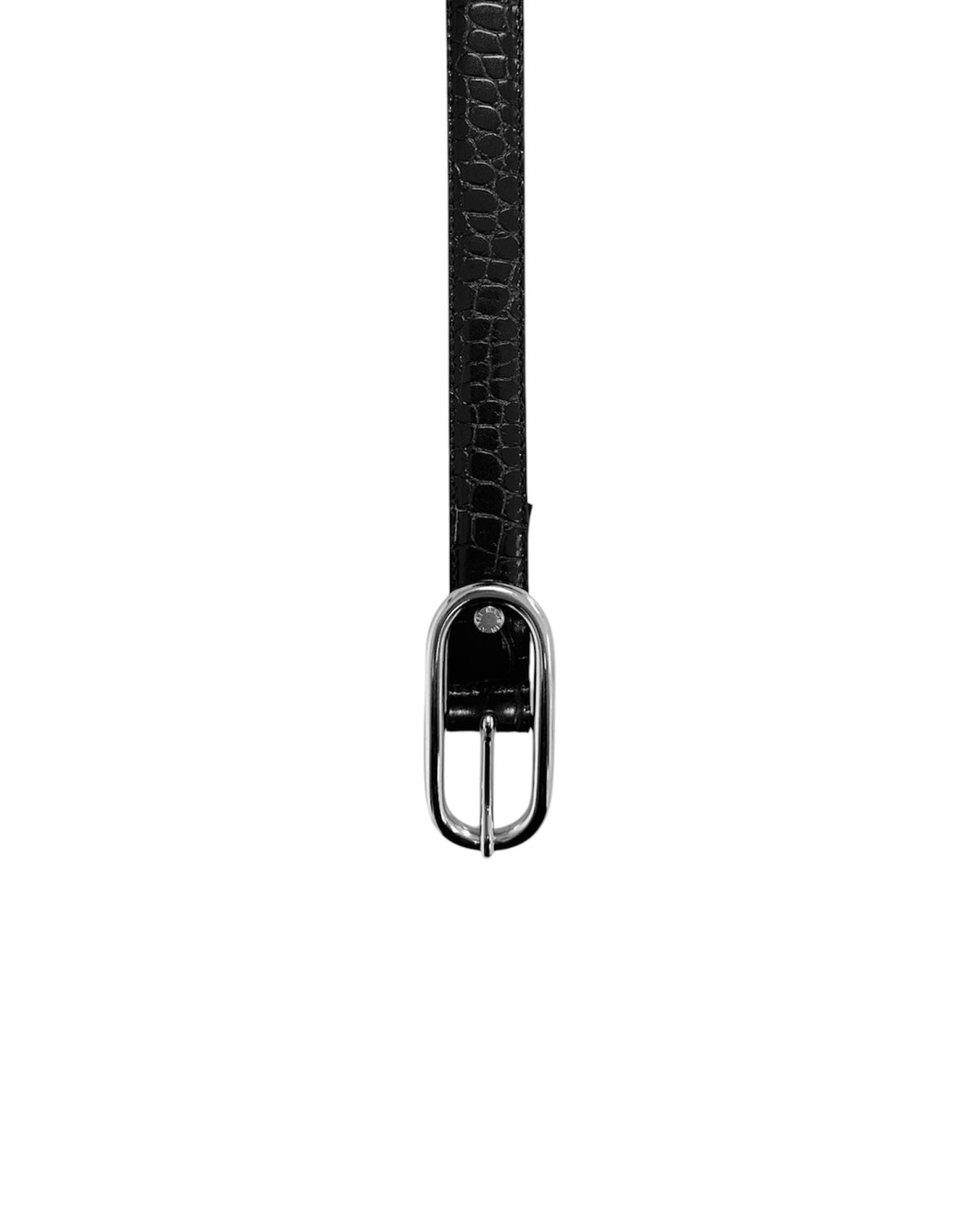 BELT No.45