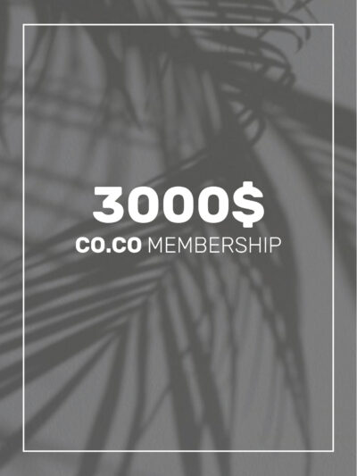 $3,000 Partnership